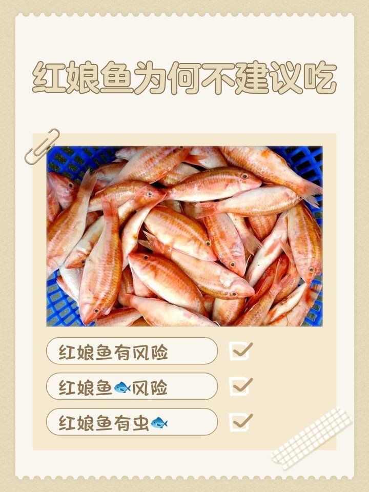 紅娘魚為何不建議吃【紅娘子魚為何不建議吃百味生活堂紅娘魚為何不建議吃】 紅娘魚為何不建議吃【紅娘子魚為何不建議吃百味生活堂紅娘魚為何不建議吃】 龍魚論壇 第1張