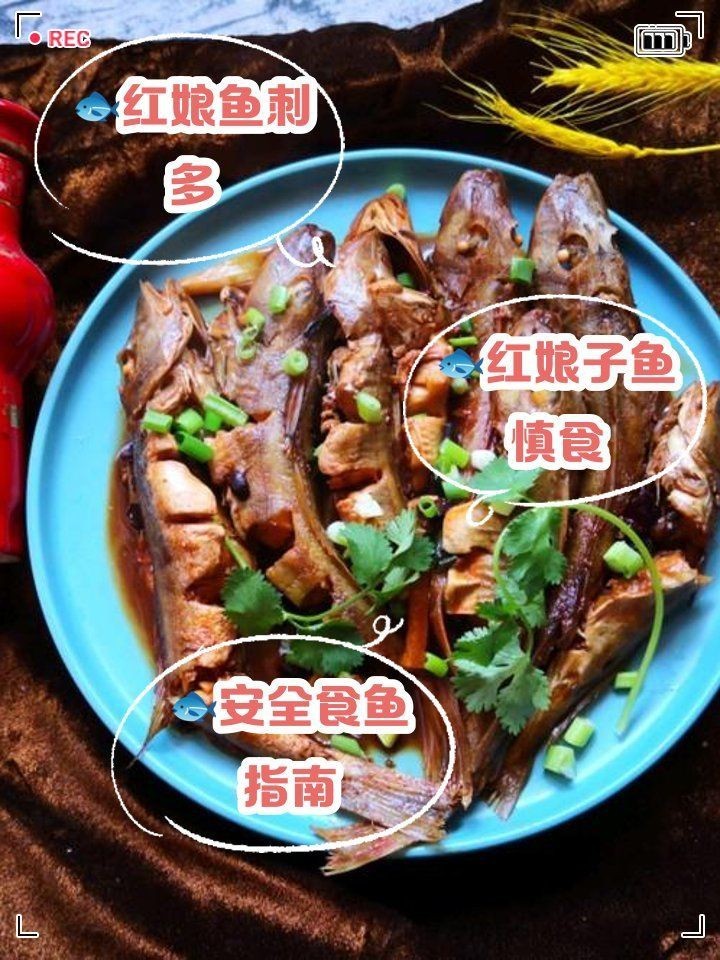 紅娘魚為何不建議吃【紅娘子魚為何不建議吃百味生活堂紅娘魚為何不建議吃】 紅娘魚為何不建議吃【紅娘子魚為何不建議吃百味生活堂紅娘魚為何不建議吃】 龍魚論壇 第5張