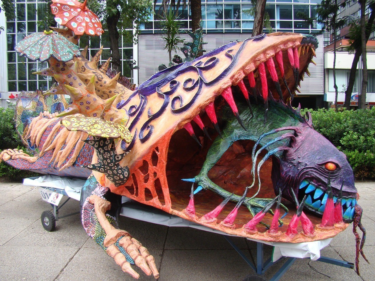 龍魚黑鱗最忌三種顏色【龍魚黑鱗最忌哪三種顏色，龍魚黑鱗的出現往往與多種因素有關】
