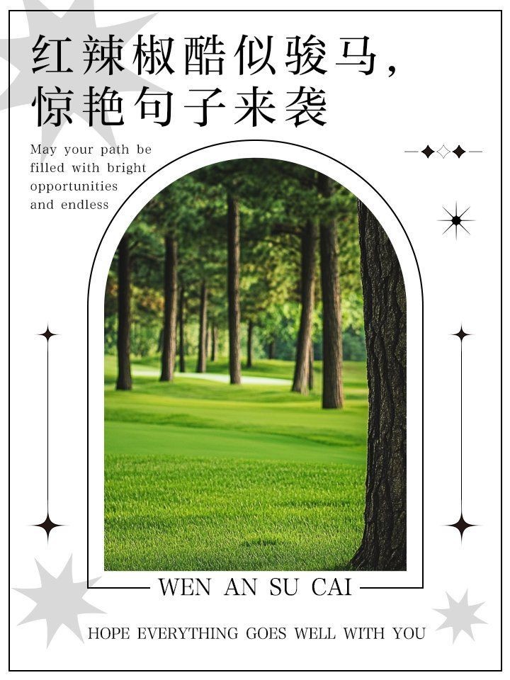 紅辣椒最火的十句話【《紅辣椒》最火的十句話】