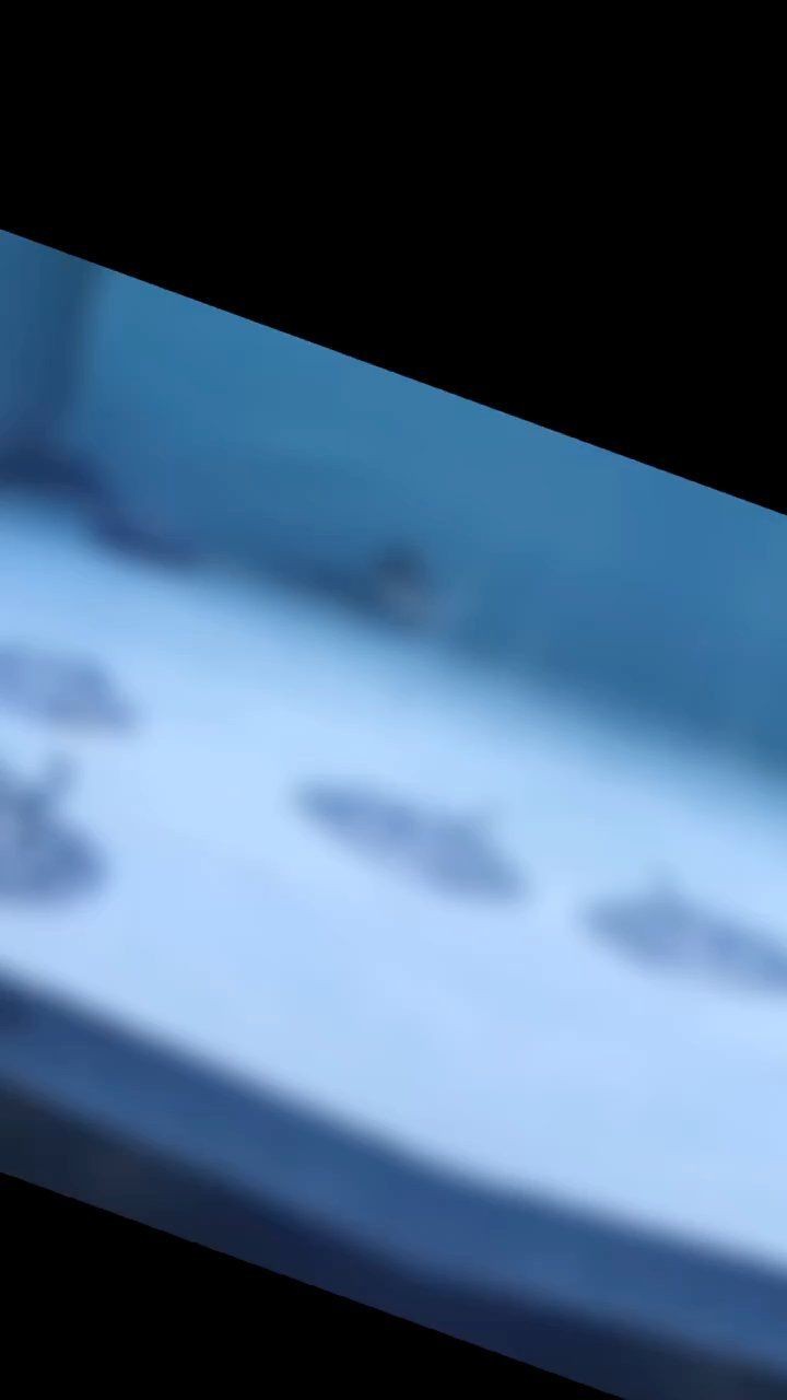 常州觀賞魚批發(fā)市場(chǎng)是什么？，常州觀賞魚批發(fā)市場(chǎng)