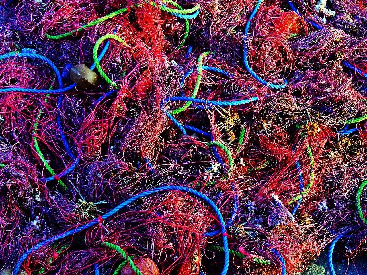 龍魚浮背能自愈嗎【如何判斷龍魚浮背能否自愈】 水族問答 第2張 龍魚浮背能自愈嗎【如何判斷龍魚浮背能否自愈】 龍魚浮背能自愈嗎【如何判斷龍魚浮背能否自愈】 水族問答 第2張
