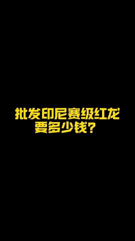 賽級魚多少錢一斤【為什么賽級魚的價格會比普通魚高很多？】