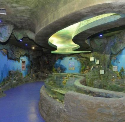 水族館加盟連鎖前十名【《水族館加盟連鎖前十名摘要》】