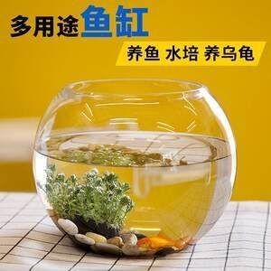 大連高新區(qū)張雨土雜商店（大連高新區(qū)張雨土雜商店地址）【大連市張雨土雜商店】