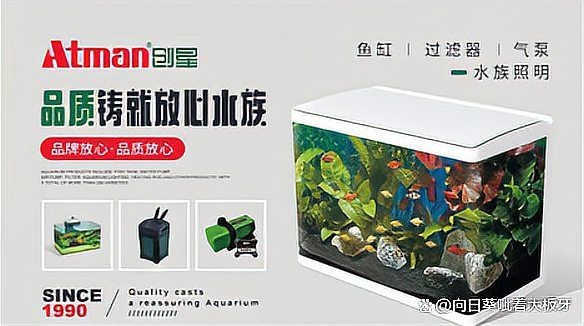 水族器械什么品牌好【水族器械品牌選擇指南】 水族器械什么品牌好【水族器械品牌選擇指南】 龍魚論壇 第6張