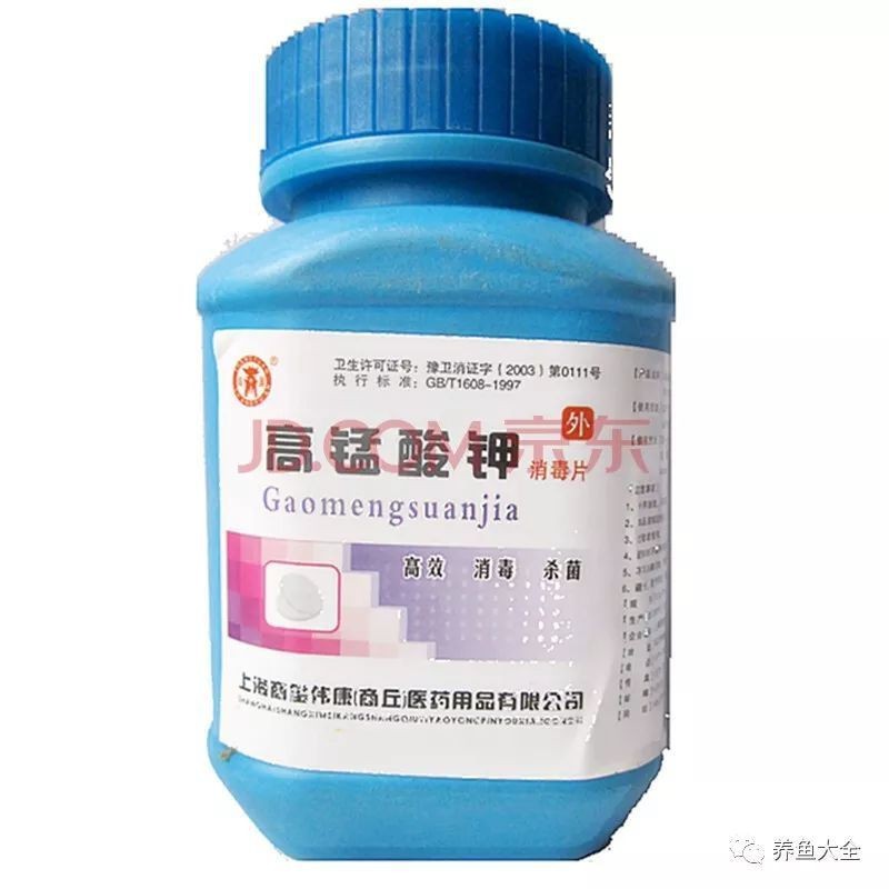 女王大帆可以用高錳檢疫嗎【女王大帆魚高錳酸鉀檢疫全攻略】