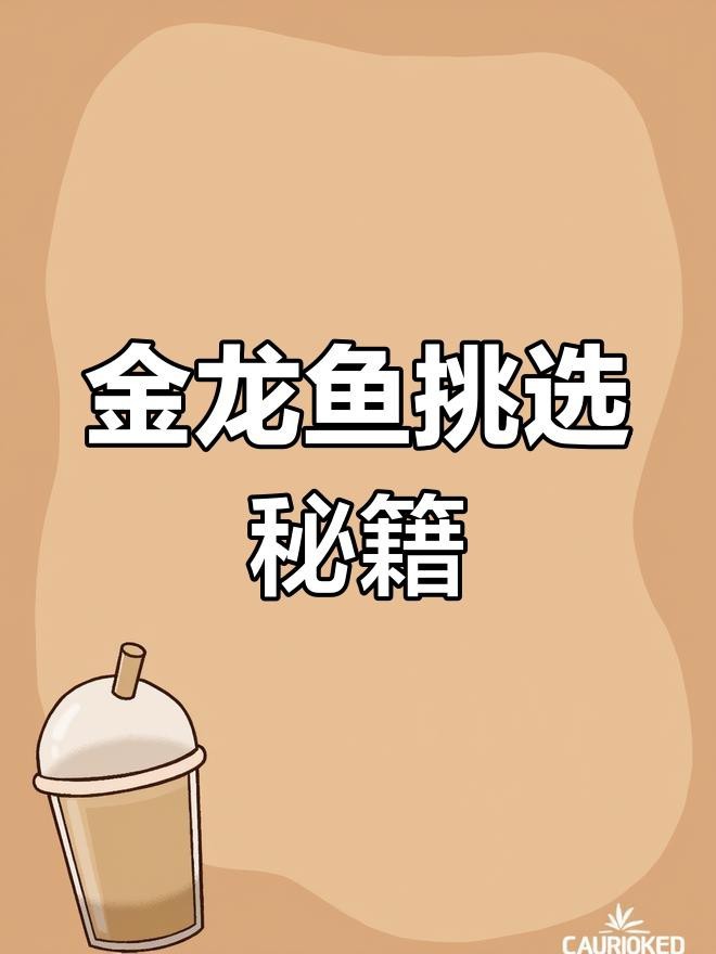 如何判斷金龍魚是否新鮮？【如何挑選一條優(yōu)質(zhì)的金龍魚】