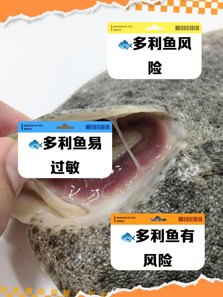 多利魚盡量少吃的原因【為什么多利魚盡量少吃】 多利魚盡量少吃的原因【為什么多利魚盡量少吃】 龍魚論壇 第4張