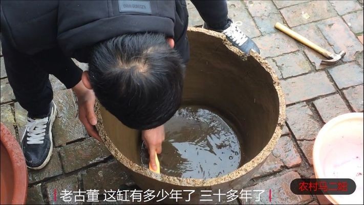 什么魚能和龍魚、虎魚混養(龍魚能和虎魚混養嗎) 紅龍魚怎么喂養能好看一點呢(紅龍魚怎么喂養能好看一點呢視頻)【如何飼養紅龍魚】 龍魚百科 紅龍魚怎么喂養能好看一點呢(紅龍魚怎么喂養能好看一點呢視頻)【如何飼養紅龍魚】 紅龍魚怎么喂養能好看一點呢(紅龍魚怎么喂養能好看一點呢視頻)【如何飼養紅龍魚】 龍魚百科