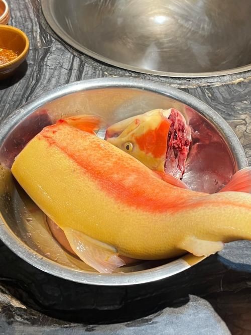 火炬魚圖片【《探秘火炬魚：獨(dú)特外形與神秘生態(tài)》】