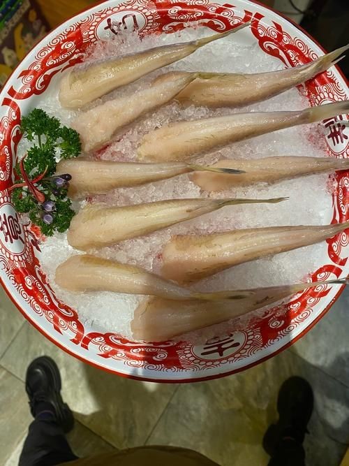 火炬魚圖片【《探秘火炬魚：獨(dú)特外形與神秘生態(tài)》】
