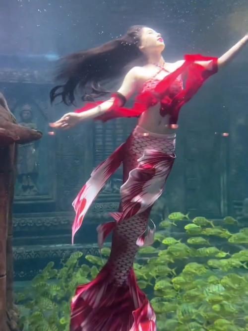 紅美人魚圖片【紅美人魚的下半身究竟是什么魚紅發美人魚壁紙愛麗兒】 紅美人魚圖片【紅美人魚的下半身究竟是什么魚紅發美人魚壁紙愛麗兒】 龍魚論壇 第2張
