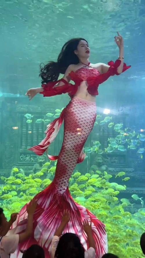 紅美人魚圖片【紅美人魚的下半身究竟是什么魚紅發美人魚壁紙愛麗兒】 紅美人魚圖片【紅美人魚的下半身究竟是什么魚紅發美人魚壁紙愛麗兒】 龍魚論壇 第5張