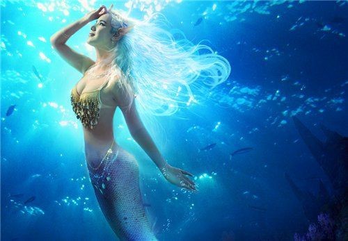 紅美人魚圖片【紅美人魚的下半身究竟是什么魚紅發美人魚壁紙愛麗兒】 紅美人魚圖片【紅美人魚的下半身究竟是什么魚紅發美人魚壁紙愛麗兒】 龍魚論壇 第25張