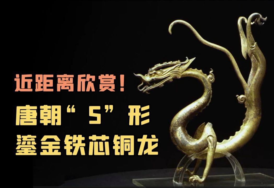 有哪些著名的銅龍藏品？【全球著名的銅龍藏品及相關(guān)信息整理：“虎頭虎腦”“豬里豬氣”】