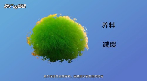 <strong><mark>霸州</mark></strong>市<strong><mark>霸州</mark></strong>鎮海樂天水族店（<strong><mark>霸州</mark></strong>水上樂園哪家好）【河北<strong><mark>霸州</mark></strong>鎮海樂天水族店和<strong><mark>霸州</mark></strong>水上樂園的優質休閑娛樂場所】