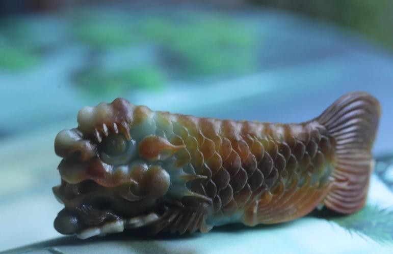 龍頭魚尾圖片高清版【龍頭魚尾吊墜的吉祥寓意世界不能沒有橘子小狗】 龍頭魚尾圖片高清版【龍頭魚尾吊墜的吉祥寓意世界不能沒有橘子小狗】 龍魚論壇 第20張