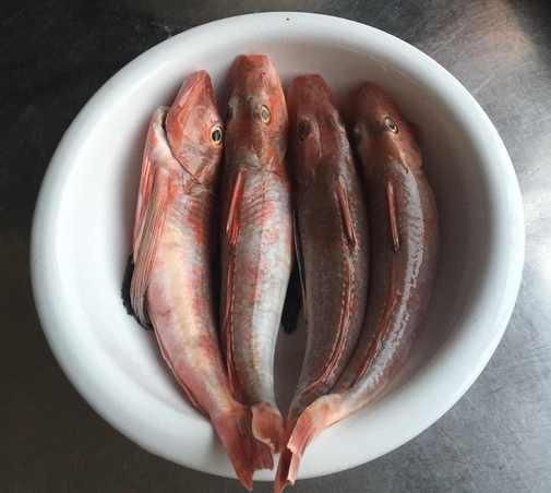 紅頭魚叫什么魚【紅頭魚有哪些烹飪方法】