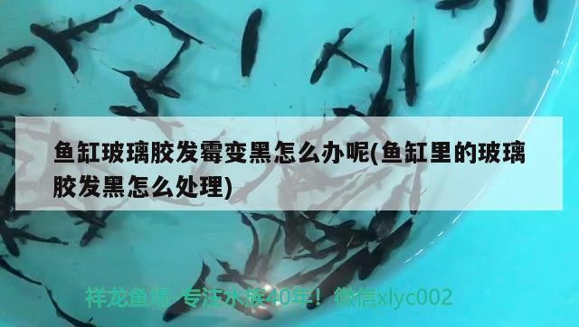 永城市東城區(qū)浩瀚水族館（永城市東城區(qū)浩瀚水族館電話）【永城市東城區(qū)浩瀚水族館】