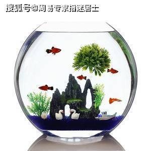 泉州投資區(qū)悅順汽車用品店【泉州悅順汽車用品店】 泉州投資區(qū)悅順汽車用品店【泉州悅順汽車用品店】 全國水族館企業(yè)名錄