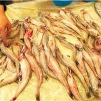 龍魚適合哪些人群食用？【龍頭魚有哪些營養(yǎng)價(jià)值？】 龍魚適合哪些人群食用？【龍頭魚有哪些營養(yǎng)價(jià)值？】 龍魚論壇 第2張