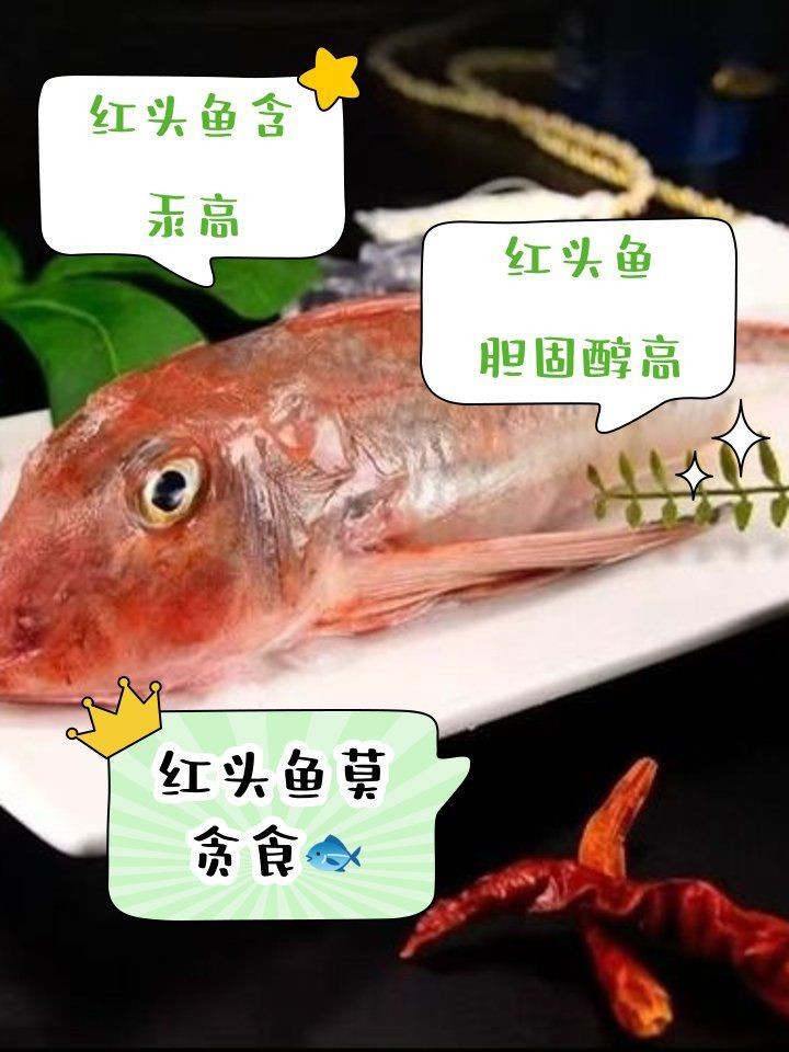 紅頭魚最大的害處【紅頭魚為何盡量少吃這五種魚釣到也不要舍不得去吃】 紅頭魚最大的害處【紅頭魚為何盡量少吃這五種魚釣到也不要舍不得去吃】 龍魚論壇 第5張