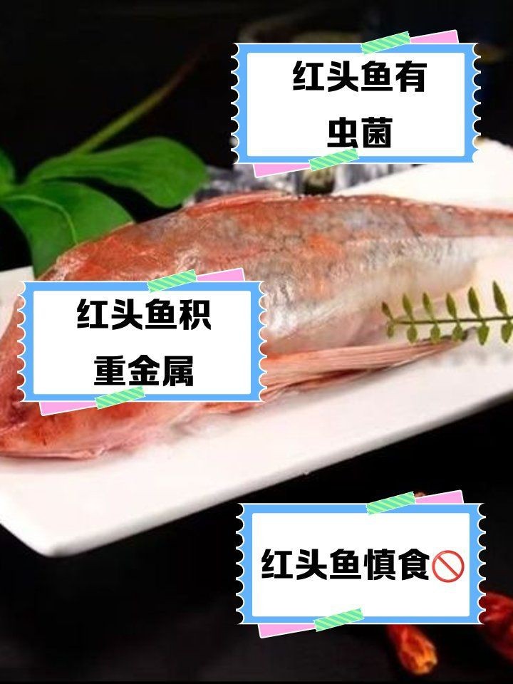 紅頭魚最大的害處【紅頭魚為何盡量少吃這五種魚釣到也不要舍不得去吃】 紅頭魚最大的害處【紅頭魚為何盡量少吃這五種魚釣到也不要舍不得去吃】 龍魚論壇 第3張