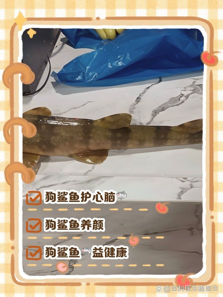 狗魦魚的功效和作用