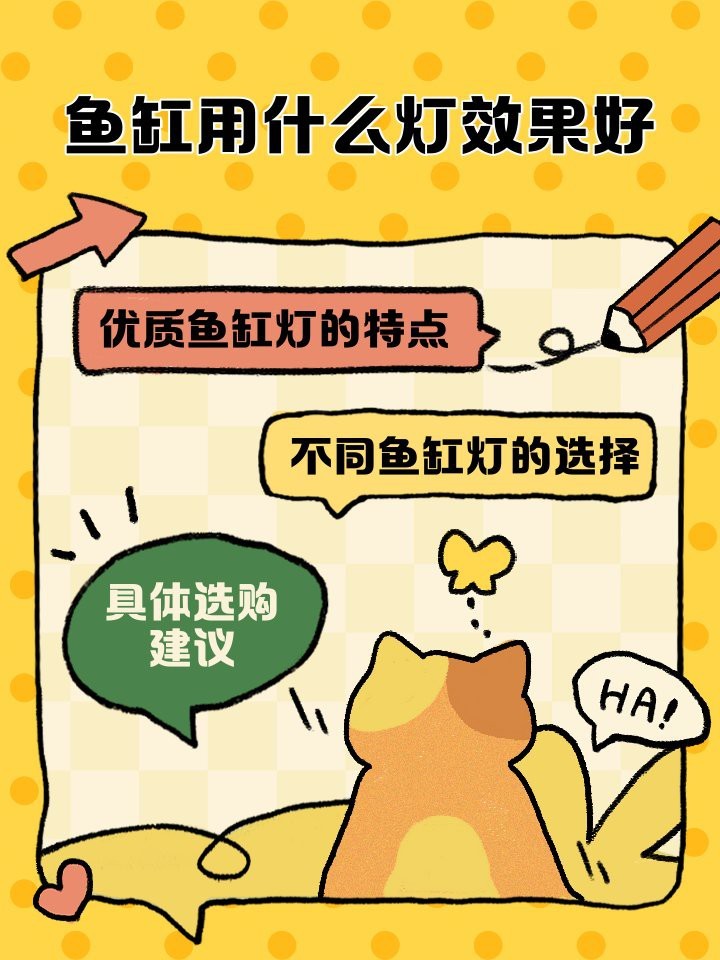 普通魚缸用什么燈比較好【我的魚缸用什么燈最合適】