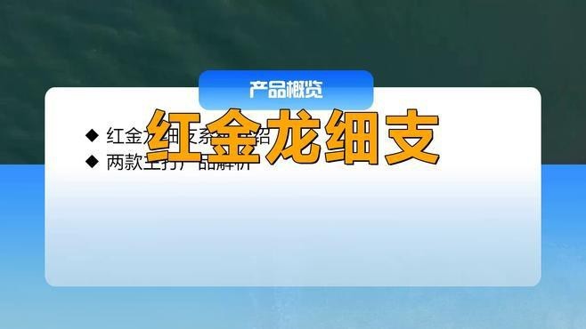 紅金龍香煙哪個系列最受歡迎？（紅金龍香煙哪個系列口感最好，別再盲目跟風）