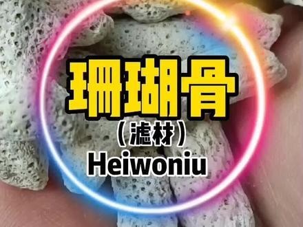 龍魚缸過濾是否可以放珊瑚骨（珊瑚骨在魚缸過濾一般起到什么作用）