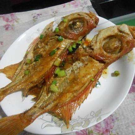 紅大眼魚的介紹(紅大眼魚是什么魚?) 龍魚論壇 第12張 紅大眼魚的介紹(紅大眼魚是什么魚?) 紅大眼魚的介紹(紅大眼魚是什么魚?) 龍魚論壇 第12張