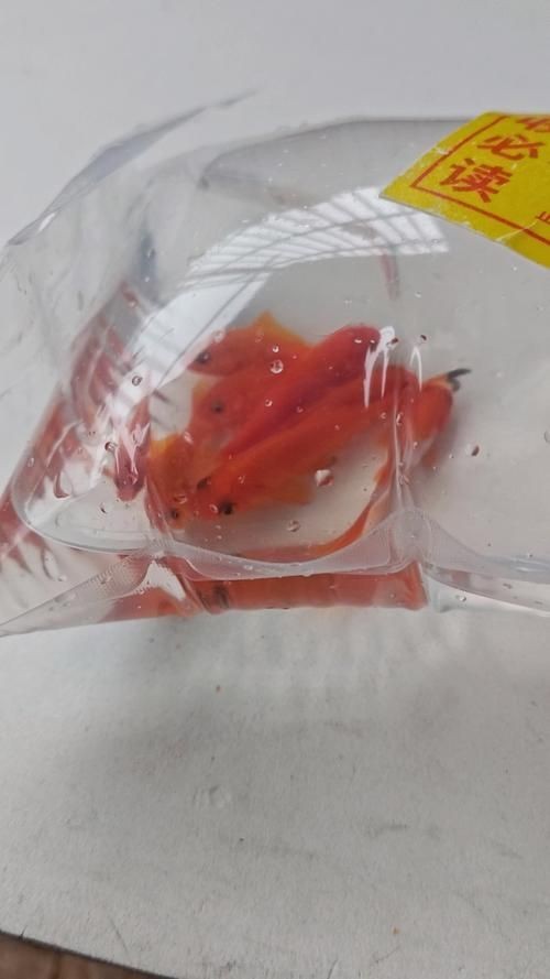 紅草魚圖片（湖南祁陽特色“紅草魚”）