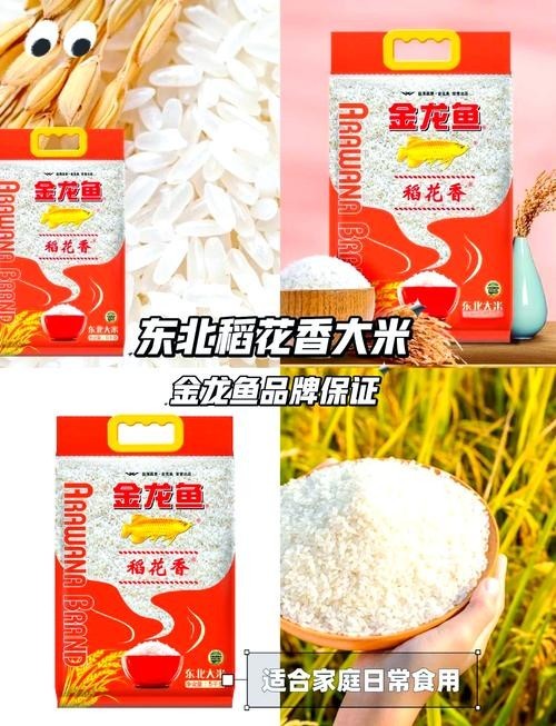 金龍魚稻花香系列哪個最好吃？（金龍魚稻花香系列哪個最好吃智能模式回答完成調用工具） 金龍魚稻花香系列哪個最好吃？（金龍魚稻花香系列哪個最好吃智能模式回答完成調用工具） 龍魚百科 第11張