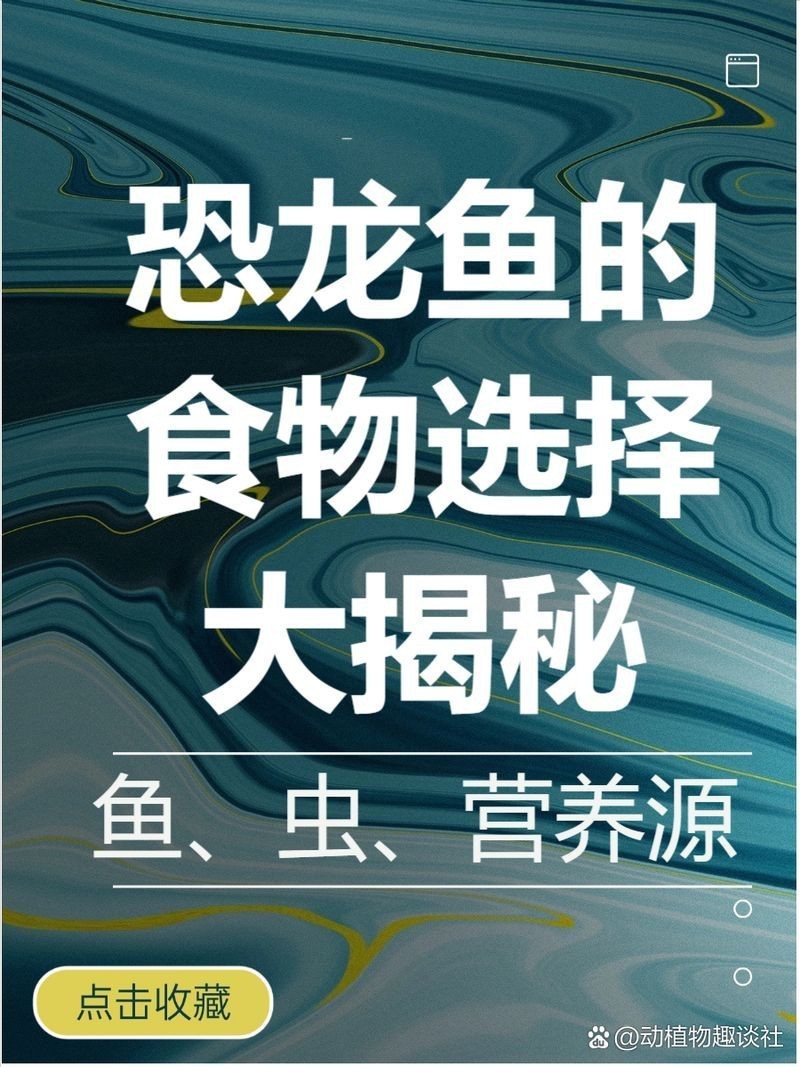 虎紋恐龍王魚喜歡吃魚還是泥鰍（虎紋恐龍王魚對魚類和泥鰍各有其適用場景和注意事項）