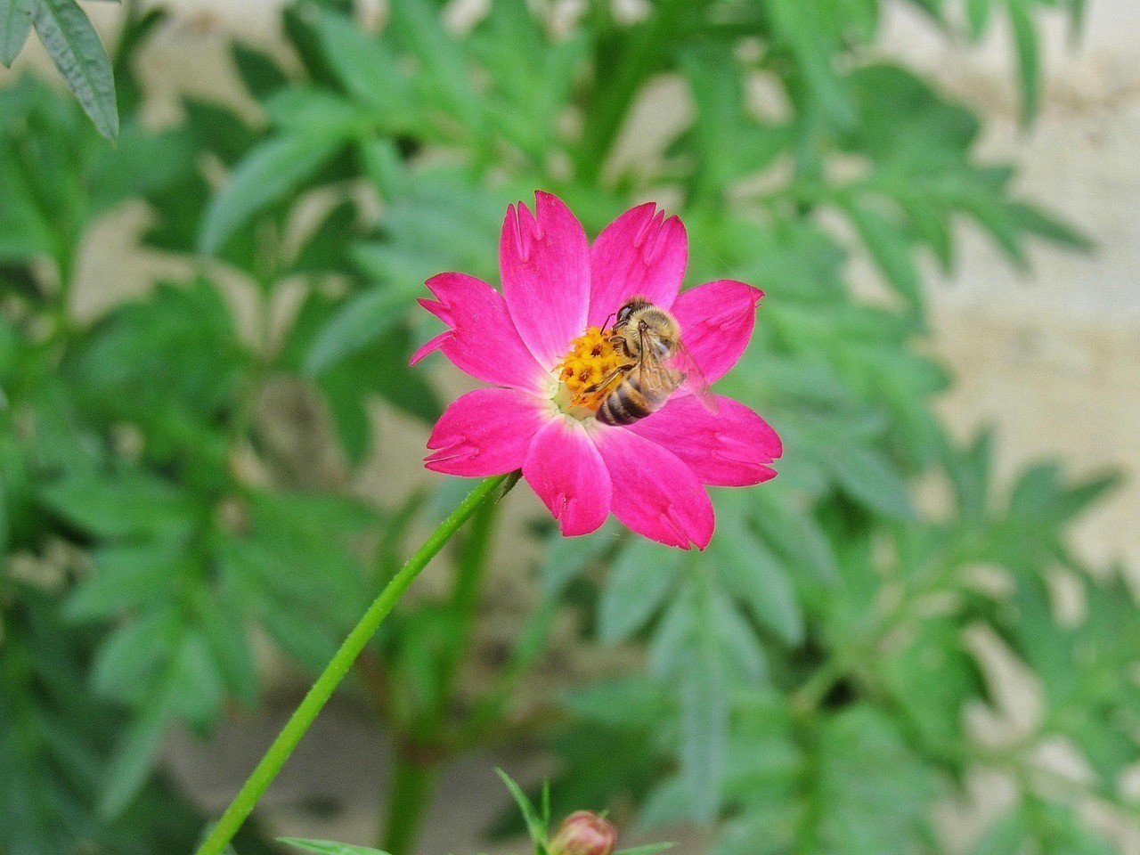 紅山區夢情緣鮮花店（內蒙古紅山區夢情緣鮮花店成立于2019-08-30） 紅山區夢情緣鮮花店（內蒙古紅山區夢情緣鮮花店成立于2019-08-30） 全國水族館企業名錄 第2張