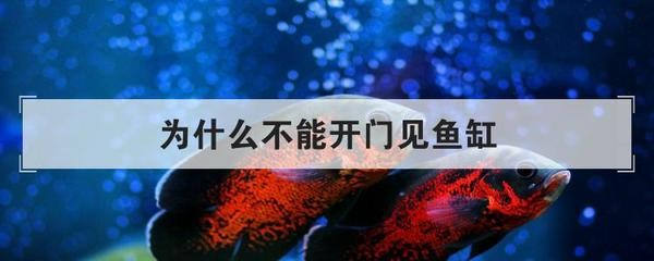<strong><mark>深圳</mark></strong>市福田區友利水族館（<strong><mark>深圳</mark></strong>市福田區友利水族館地址）（友利水族館，<strong><mark>深圳</mark></strong>市福田區的一家知名水族館）