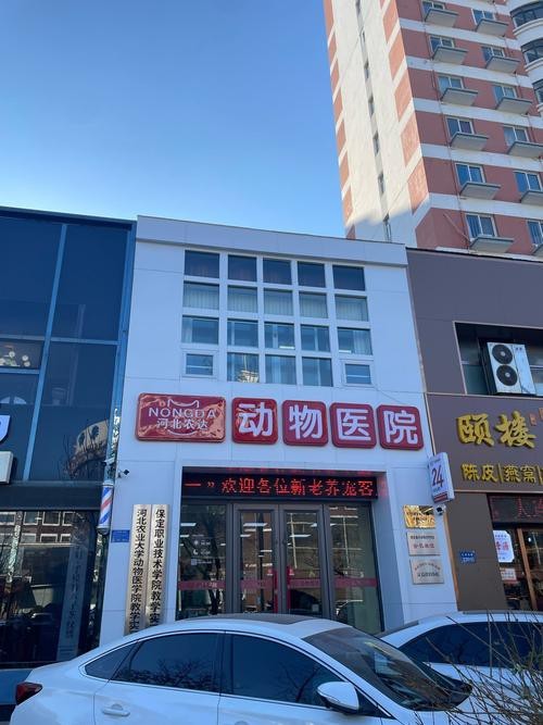 <strong><mark>保定</mark></strong>龍魚手術哪里能做的好啊醫生（<strong><mark>保定</mark></strong>市第二中心醫院<strong><mark>保定</mark></strong>市第二中心醫院博禾醫生<strong><mark>保定</mark></strong>皰疹醫院排行）