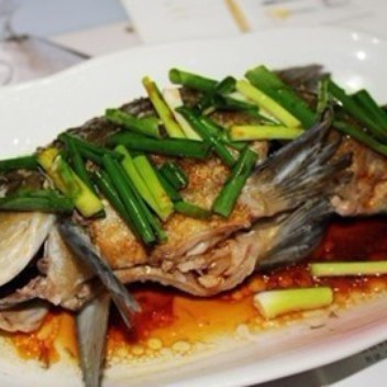 丁桂魚的做法（檸檬蒸丁桂魚） 丁桂魚的做法（檸檬蒸丁桂魚） 龍魚論壇 第4張