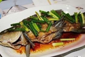 丁桂魚的做法（檸檬蒸丁桂魚） 丁桂魚的做法（檸檬蒸丁桂魚） 龍魚論壇 第7張