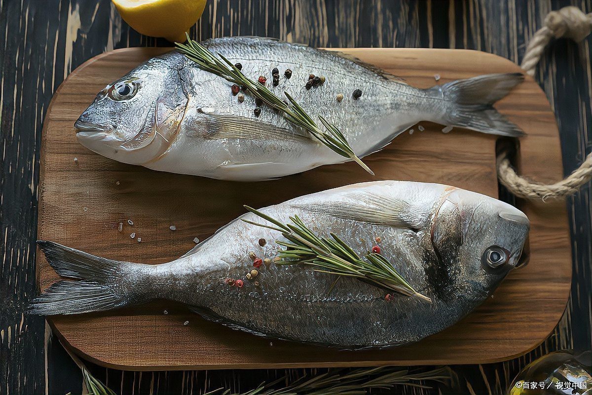 淡水鯧魚(yú)有幾個(gè)品種（淡水鯧魚(yú)品種大揭秘:金鯧、白鯧、紅鯧） 淡水鯧魚(yú)有幾個(gè)品種（淡水鯧魚(yú)品種大揭秘:金鯧、白鯧、紅鯧） 龍魚(yú)論壇 第4張