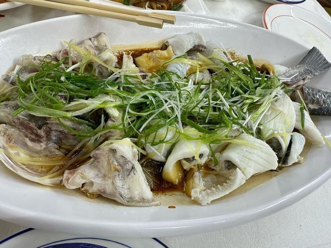 多福魚的圖片