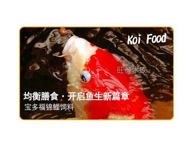 多福魚的圖片