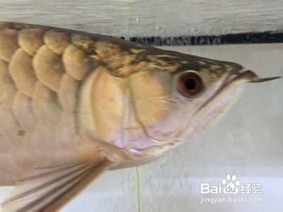 <strong><mark>介休</mark></strong>市星空瀚海進出口貿易有限公司（星空瀚海北京科技有限公司干什么的）（星空瀚海北京科技有限公司）