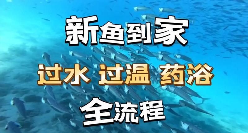 虎魚泡藥了多久看出來(關(guān)于虎魚泡藥后的檢測時(shí)間及方法未明確提及“2000字檢測”具體含義) 龍魚論壇 第5張 虎魚泡藥了多久看出來(關(guān)于虎魚泡藥后的檢測時(shí)間及方法未明確提及“2000字檢測”具體含義) 虎魚泡藥了多久看出來(關(guān)于虎魚泡藥后的檢測時(shí)間及方法未明確提及“2000字檢測”具體含義) 龍魚論壇 第5張