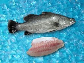 單龍魚的名稱怎么叫好聽（給小魚起名字寓意魚取一個詩意的名字是什么3788網）