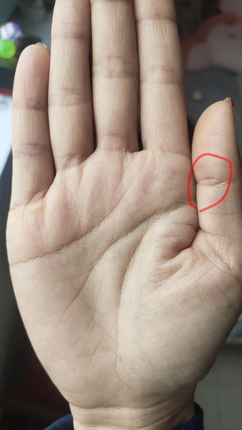 能否提供龍眼紋者的手相圖片？（能否提供龍眼紋者的手相圖片） 能否提供龍眼紋者的手相圖片？（能否提供龍眼紋者的手相圖片） 龍魚百科 第1張