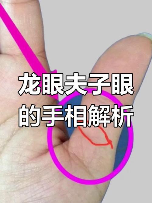 能否提供龍眼紋者的手相圖片？（能否提供龍眼紋者的手相圖片） 能否提供龍眼紋者的手相圖片？（能否提供龍眼紋者的手相圖片） 龍魚百科 第4張
