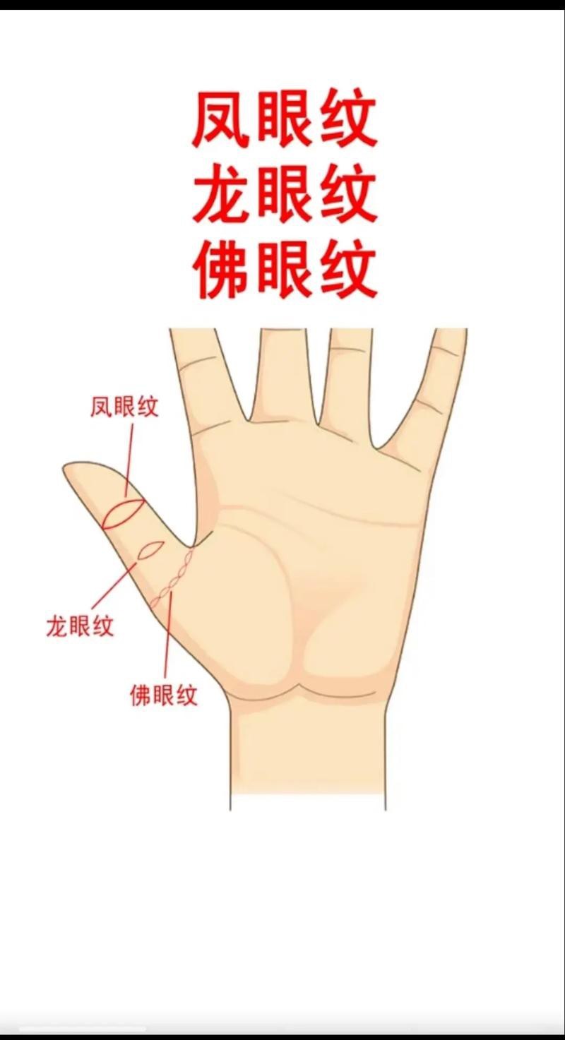 能否提供龍眼紋者的手相圖片？（能否提供龍眼紋者的手相圖片） 能否提供龍眼紋者的手相圖片？（能否提供龍眼紋者的手相圖片） 龍魚百科 第3張